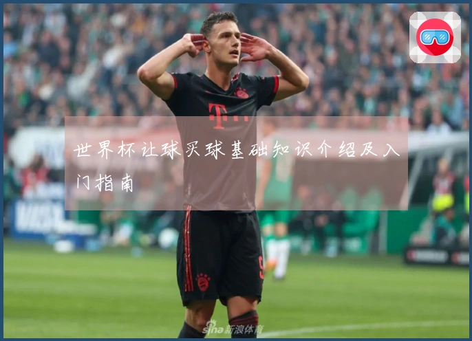 世界杯让球买球基础知识介绍及入门指南