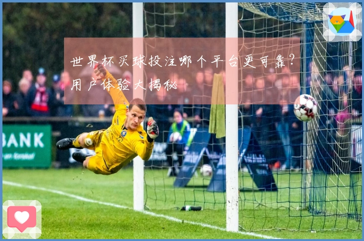 世界杯买球投注哪个平台更可靠？用户体验大揭秘