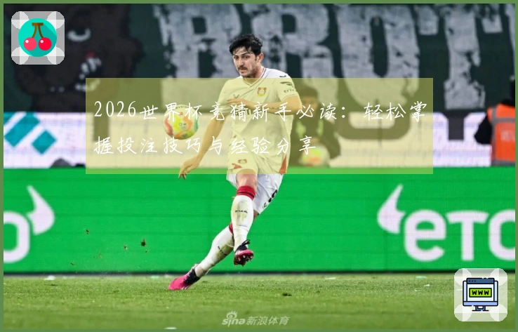 2026世界杯竞猜新手必读：轻松掌握投注技巧与经验分享