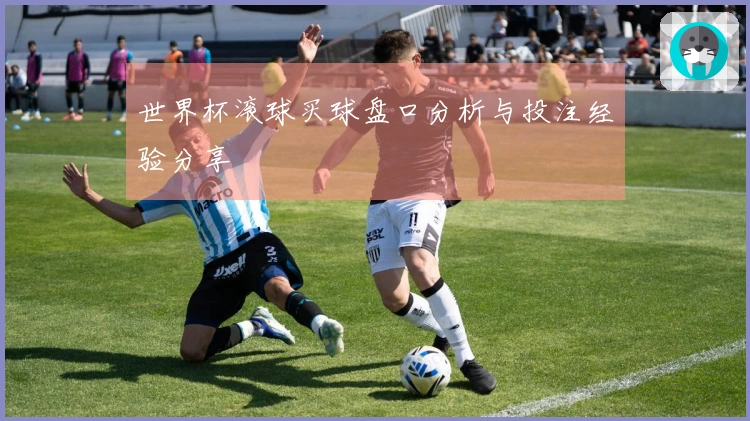 世界杯滚球买球盘口分析与投注经验分享
