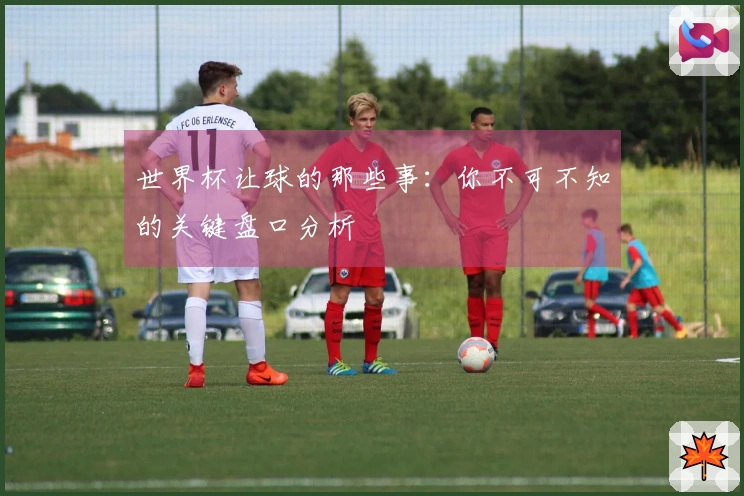 世界杯让球的那些事：你不可不知的关键盘口分析