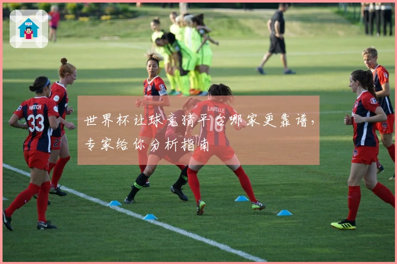 世界杯让球竞猜平台哪家更靠谱，专家给你分析指南