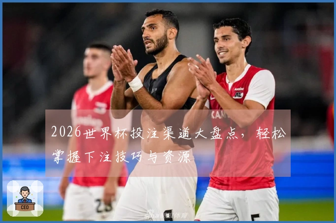 2026世界杯投注渠道大盘点，轻松掌握下注技巧与资源