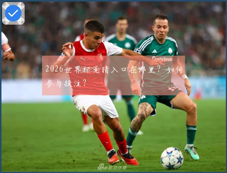2026世界杯竞猜入口在哪里？如何参与投注？