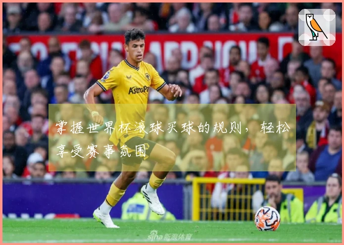 掌握世界杯滚球买球的规则，轻松享受赛事氛围