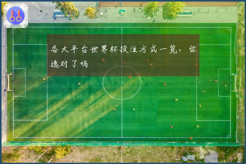 各大平台世界杯投注方式一览，你选对了吗