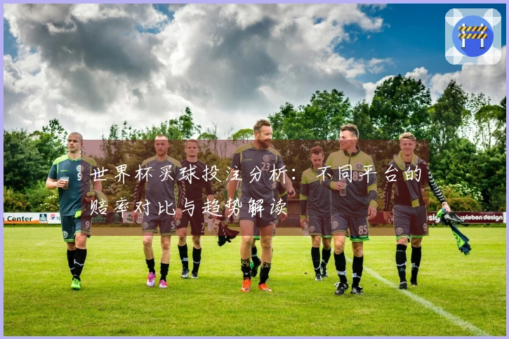 世界杯买球投注分析：不同平台的赔率对比与趋势解读