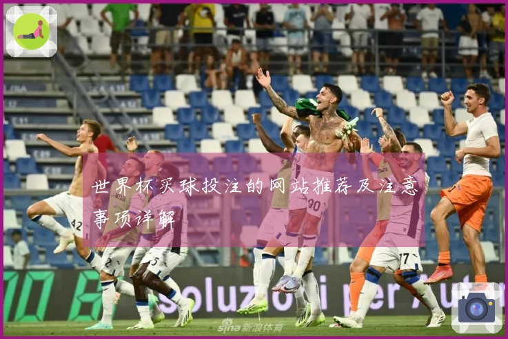 世界杯买球投注的网站推荐及注意事项详解