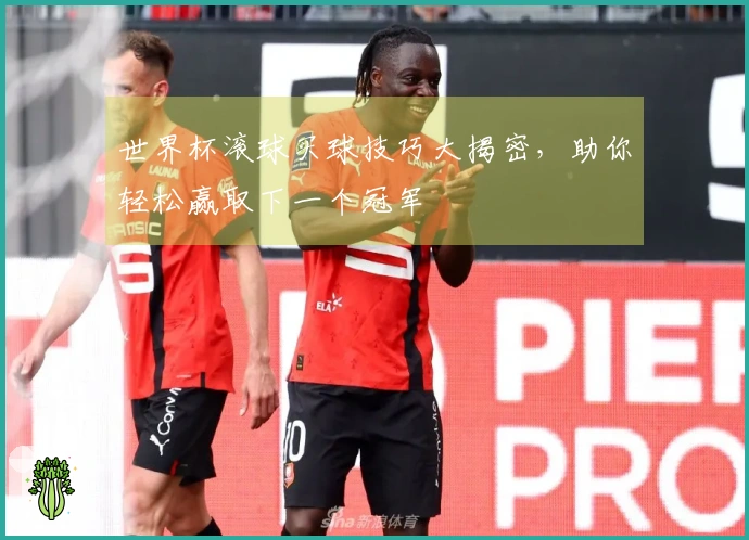 世界杯滚球买球技巧大揭密，助你轻松赢取下一个冠军