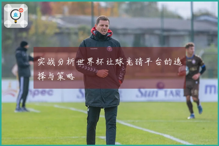 实战分析世界杯让球竞猜平台的选择与策略