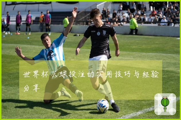 世界杯买球投注的实用技巧与经验分享