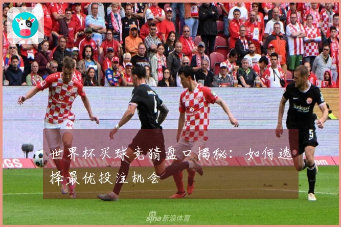 世界杯买球竞猜盘口揭秘：如何选择最优投注机会